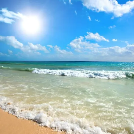 Fort Club Orchid 240a Studio Apartment Sunny Beach